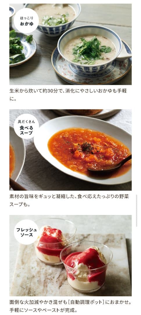 レコルト 自動調理ポット ナチュラルブラック 新品未使用