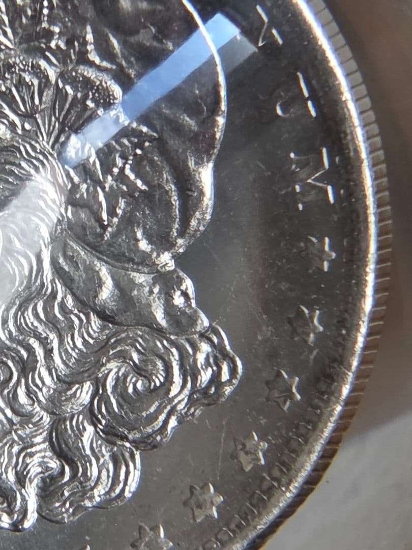 専用(お土産品)モルガンダラー銀貨入り　置き物