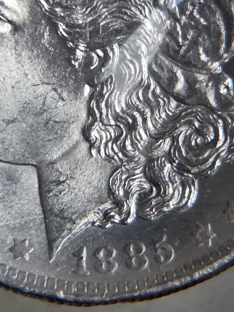 専用(お土産品)モルガンダラー銀貨入り　置き物