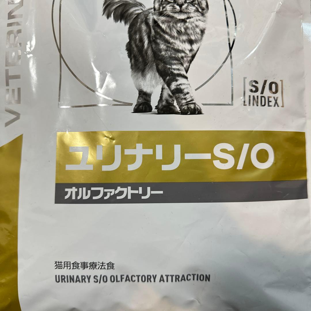 CANIN ユリナリーS/O オルファクトリー 4kg ロイヤルカナン