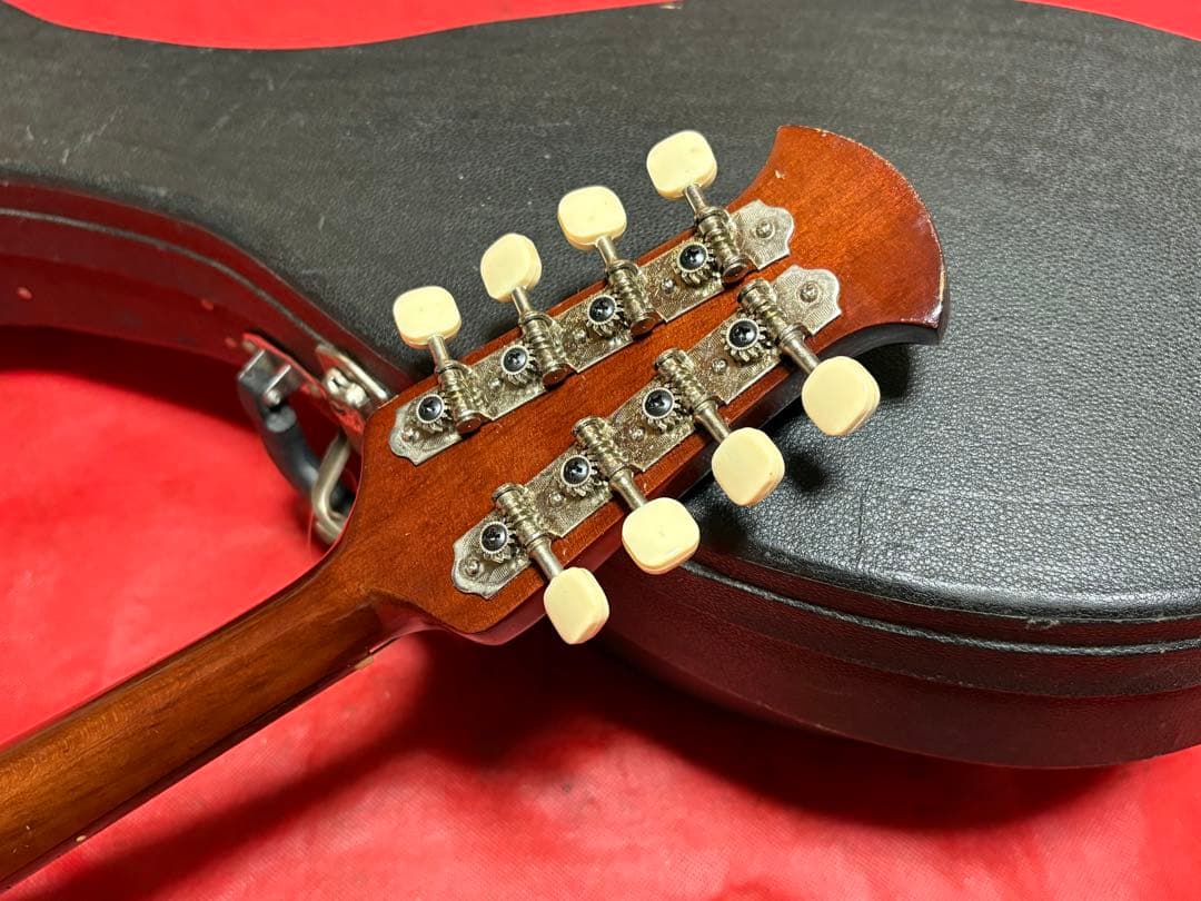 鈴木バイオリン　マンドリン　M-210 専用ハードケース付き　1917-03-1