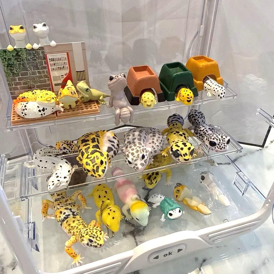 ヒョウモントカゲモドキ レオパ 爬虫類 いきもの大図鑑 ガチャ 食玩 フィギュア