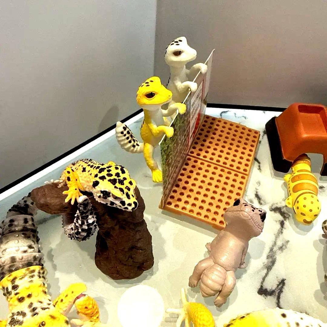 ヒョウモントカゲモドキ レオパ 爬虫類 いきもの大図鑑 ガチャ 食玩 フィギュア