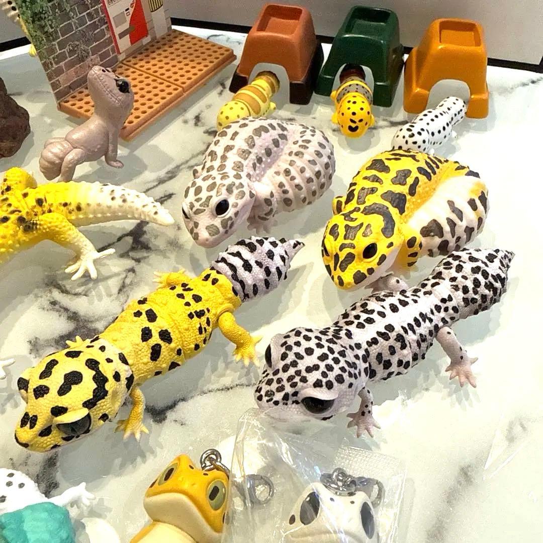 ヒョウモントカゲモドキ レオパ 爬虫類 いきもの大図鑑 ガチャ 食玩 フィギュア