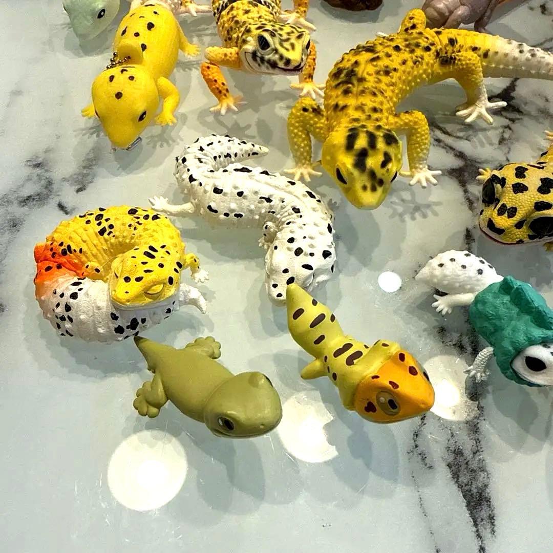 ヒョウモントカゲモドキ レオパ 爬虫類 いきもの大図鑑 ガチャ 食玩 フィギュア