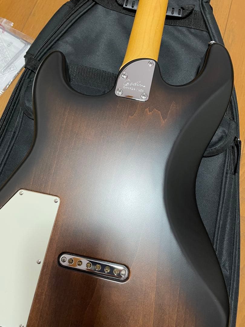 美品　ゴダン　Godin Session HT ストラト