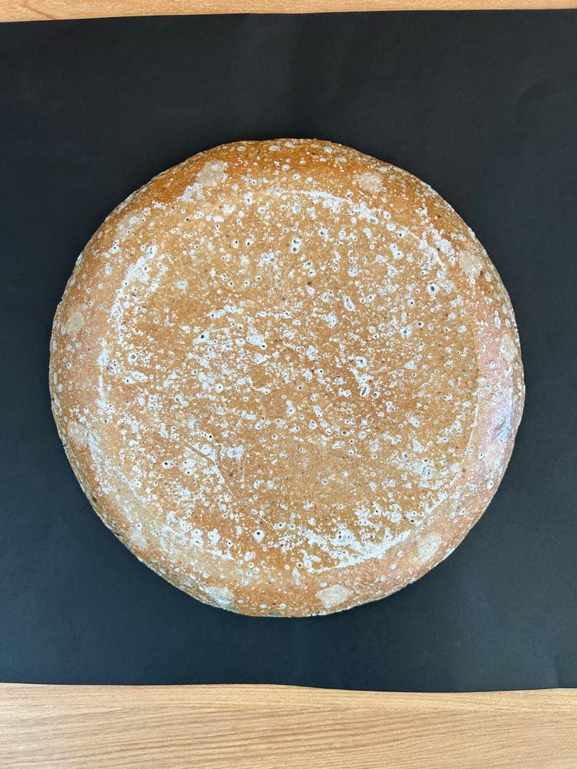 伊賀焼　灰釉　盛皿　大皿約26㎝　蓮 善隆 作家物 工芸品　25年以上前の作品