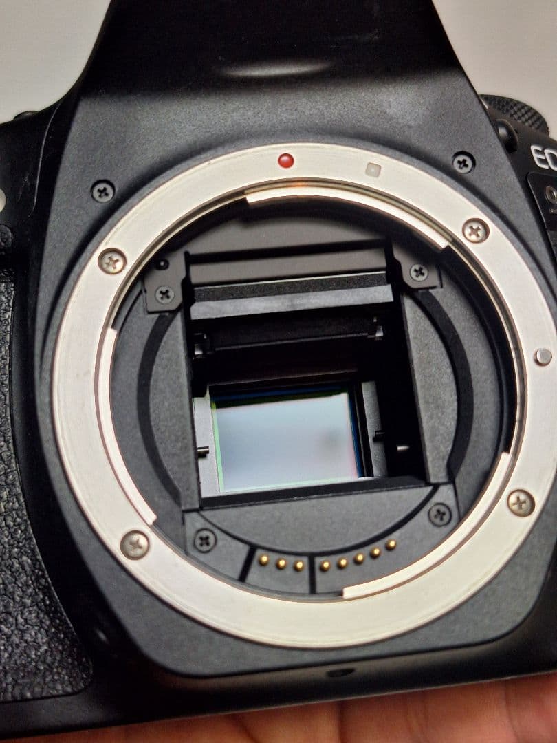 Canon EOS 90D Tamronレンズセット