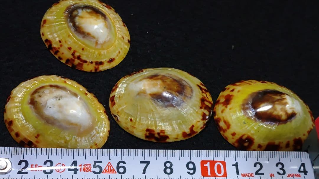 天然シェルカメオ アンティーク まとめてどうぞ