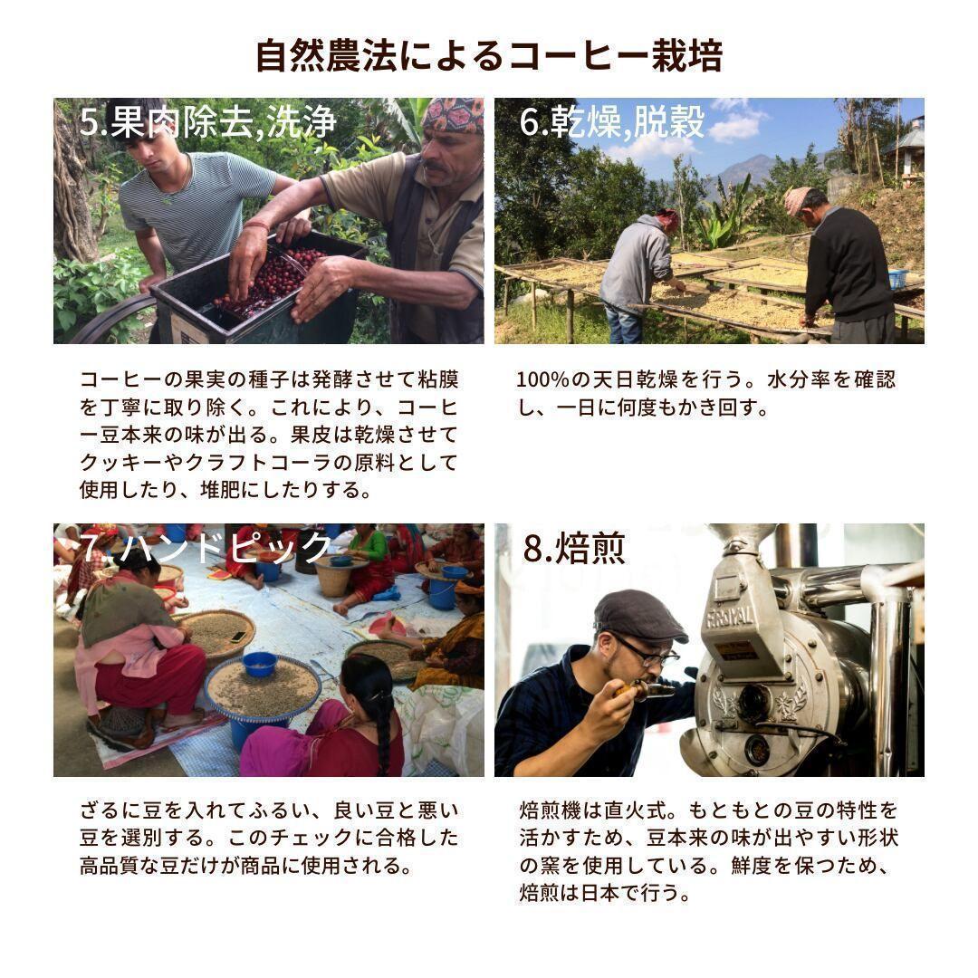 オーガニックコーヒー ミディアム フェアトレード 1kg コーヒー豆 ネパール