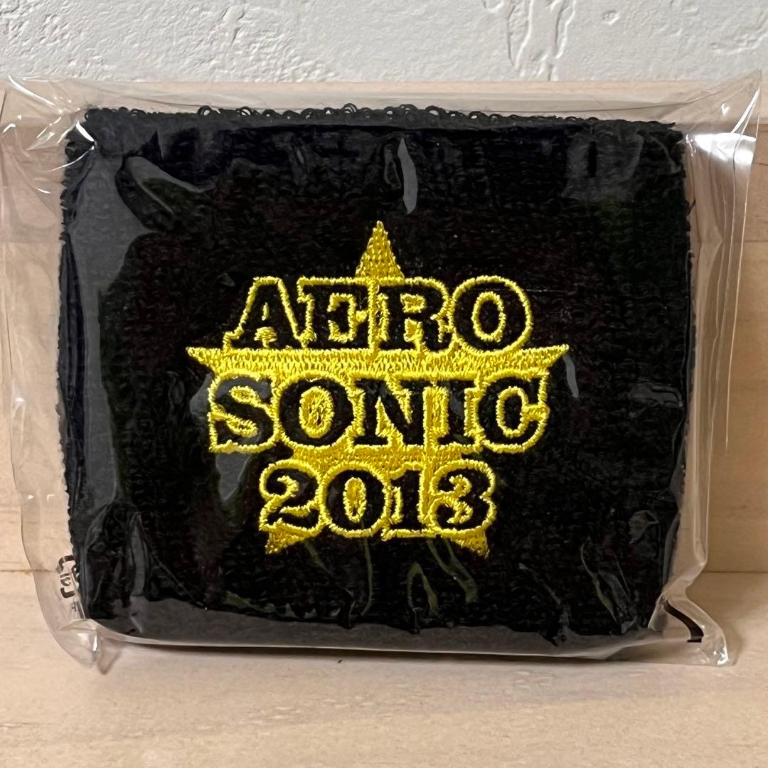 B'z エアロスミス エアロソニック 2013 リストバンド 2個セット