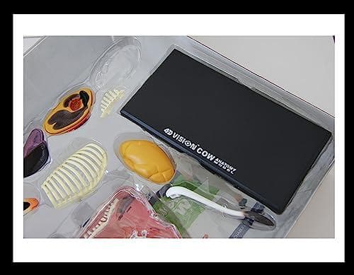 訳あり 4D VISION 乳牛 フィギュア 立体パズル 動物解剖 組立 模型