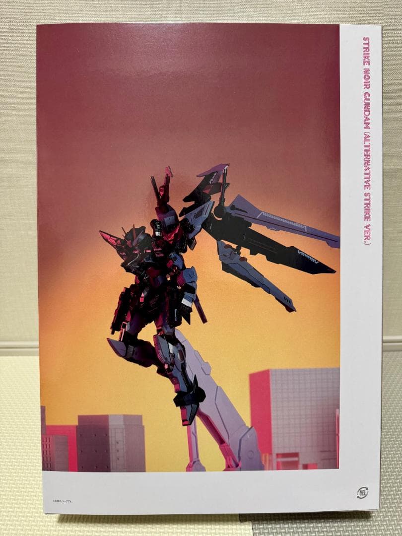 [美品] L BUILD ストライクノワール