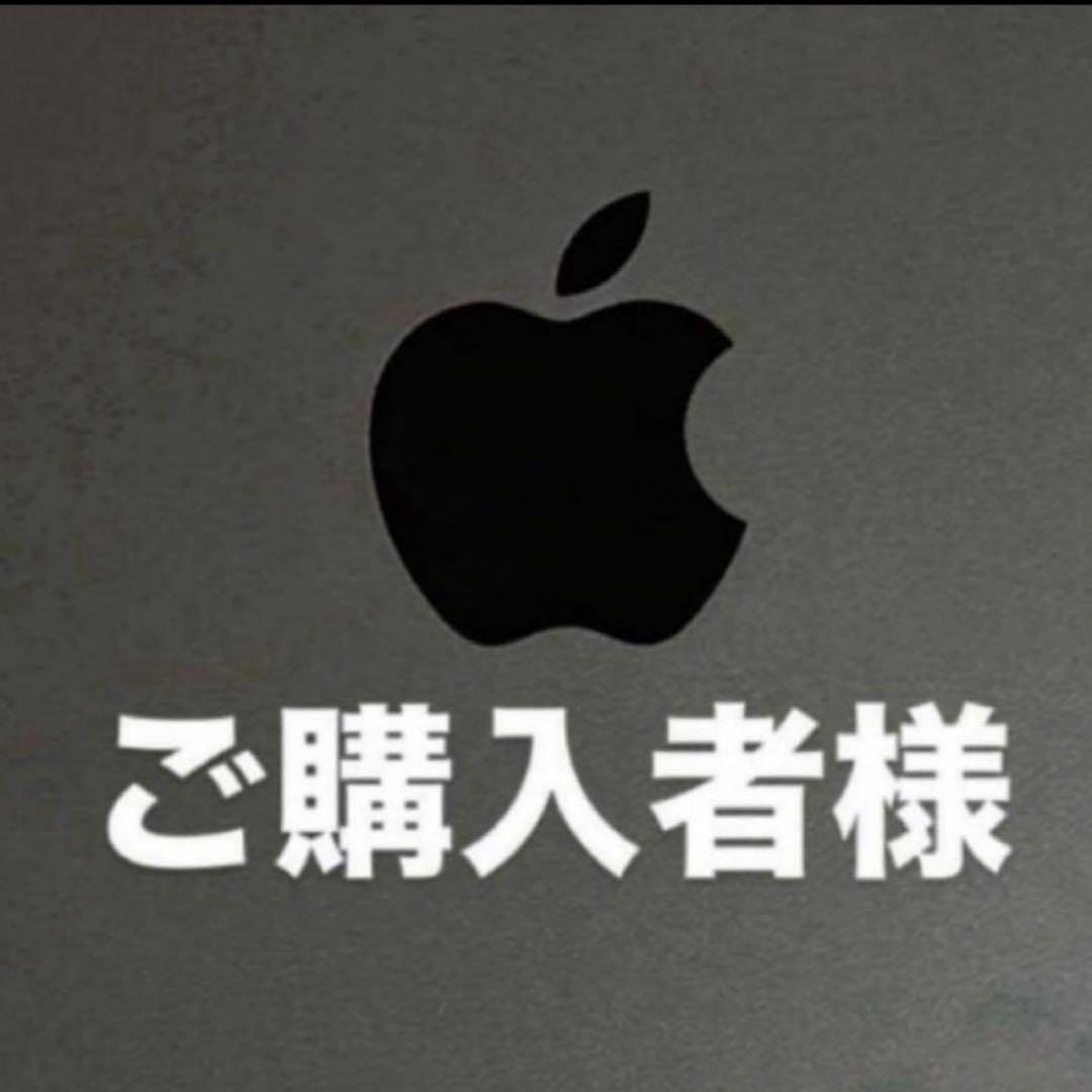 ご購入者様　即日発送！　本日限定大特価