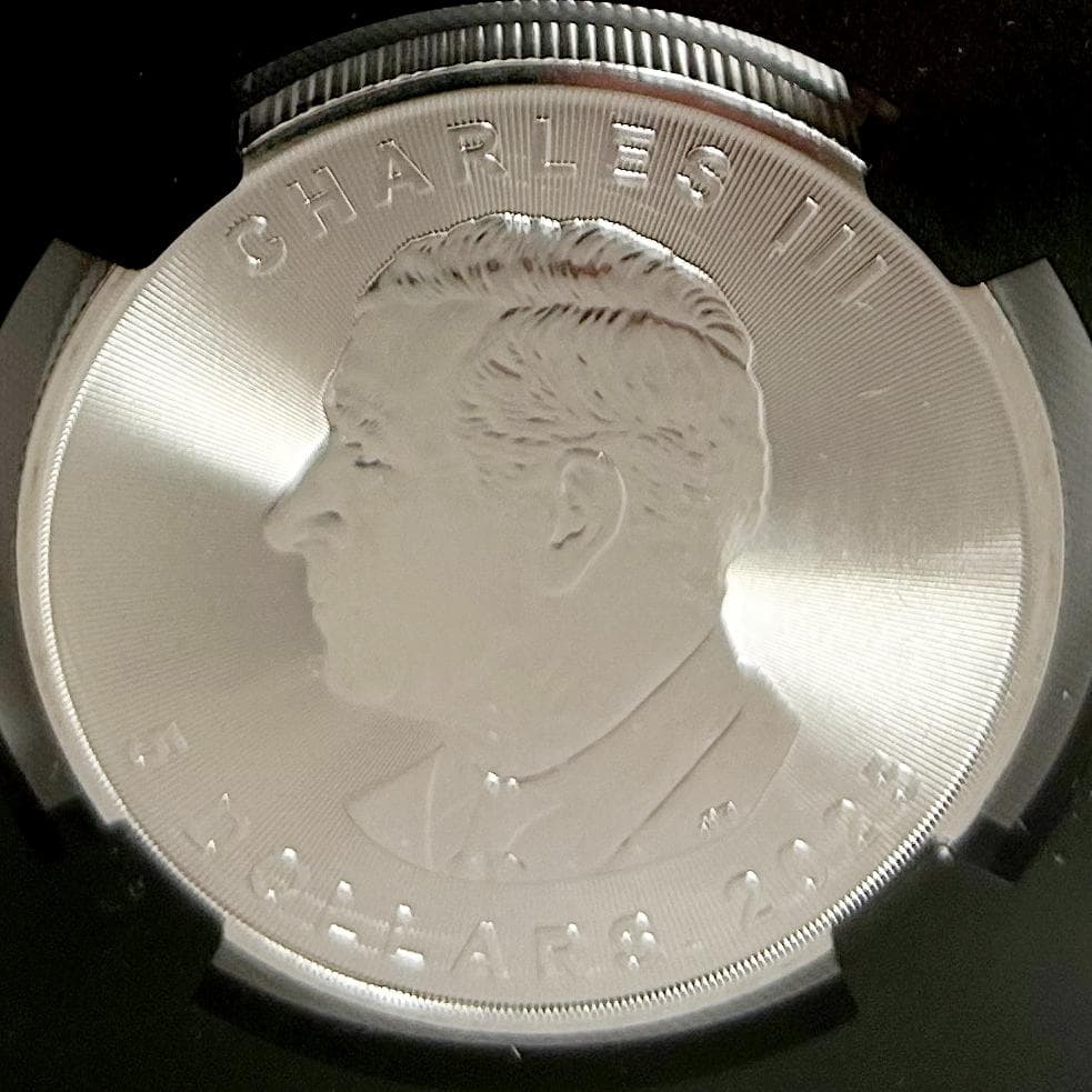 2025年 カナダ　メープルリーフ NGCMS69 8326877-212