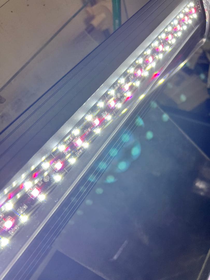 【引き取り限定】ADA 水槽セット