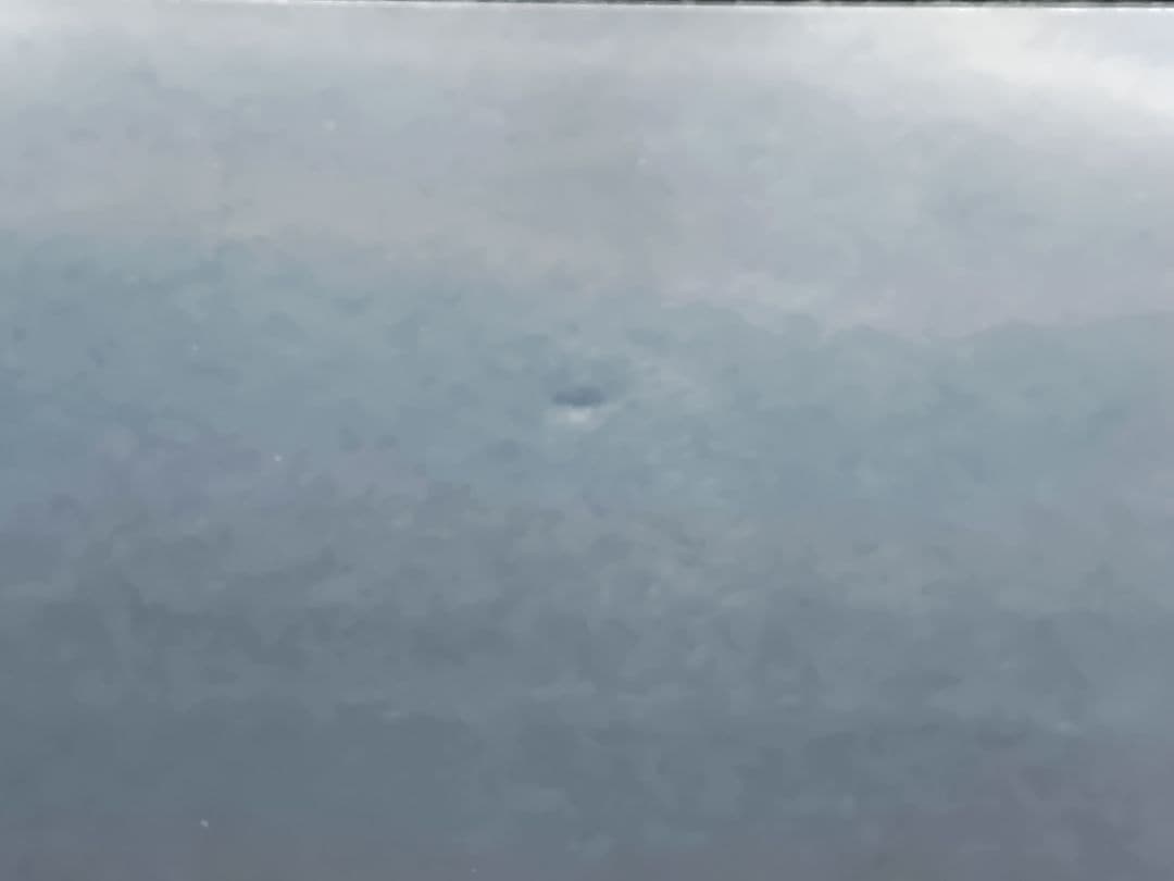 【デュエマスリーブ】天地命動バラギアラ　輪廻暴聖　未使用40枚