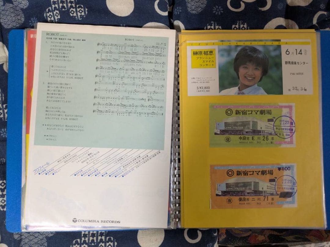 【貴重】榊原郁恵　パンフレット　グッズ　ブロマイド