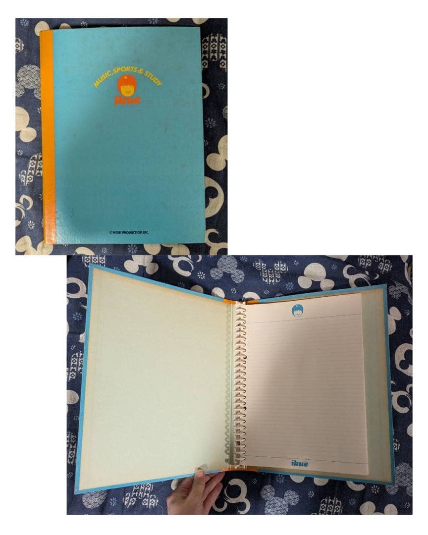 【貴重】榊原郁恵　パンフレット　グッズ　ブロマイド