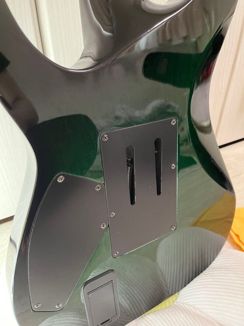 【限定色】Schecter Hellraiser c-1 FR