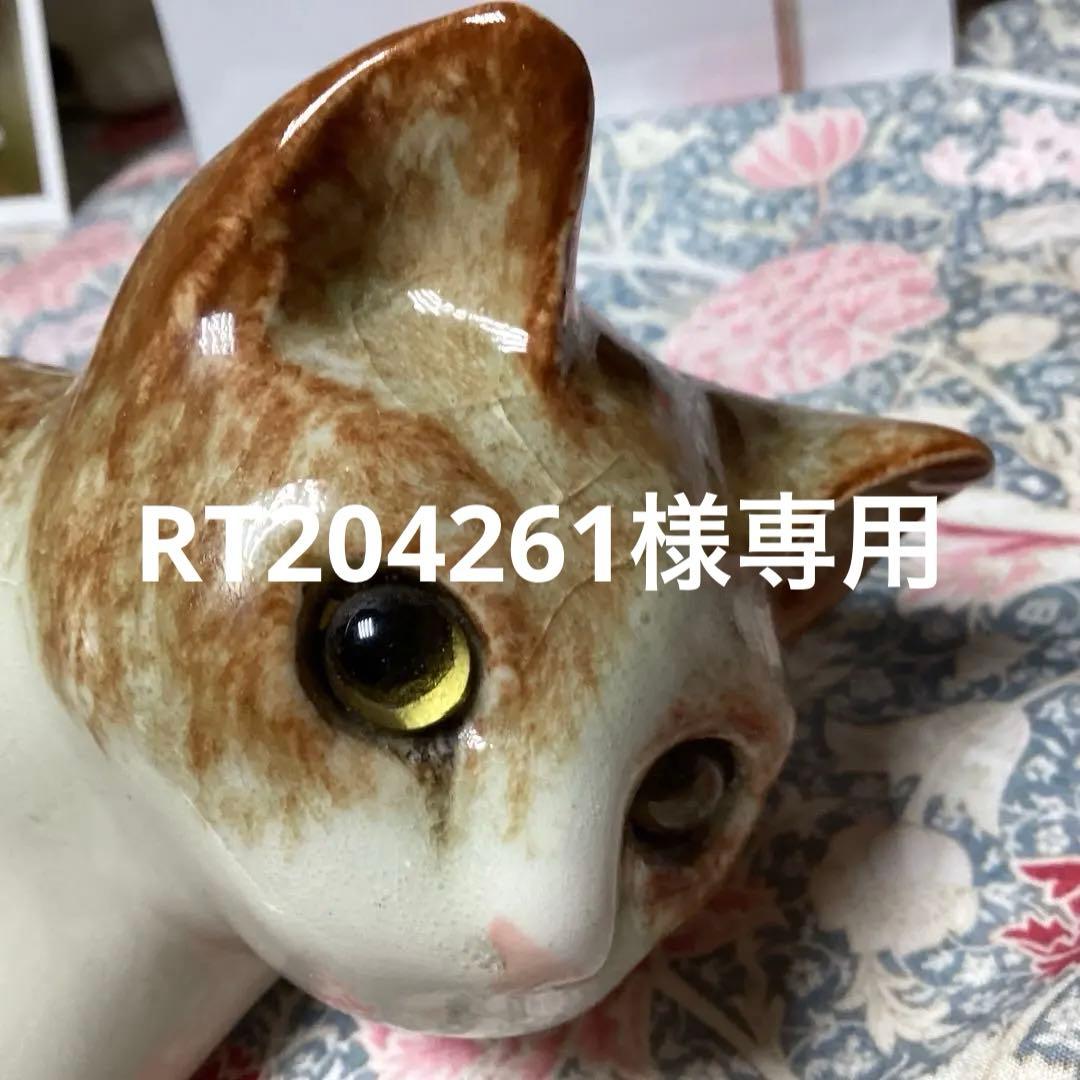 ウィンスタンレイキャットサイズ4の超美人猫SaksFifthAvenue貴重な子