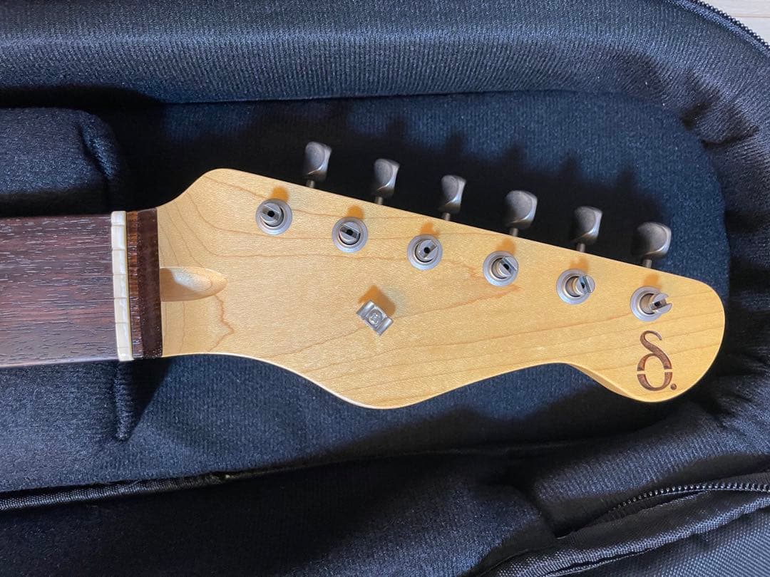 black smoker delta sp テレキャス