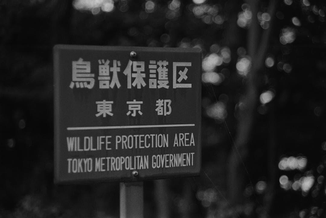 フィルムカメラ CONTAX AX