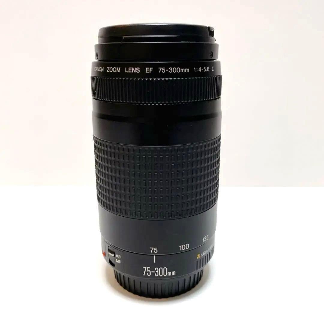 【美品】Canon 75-300mm F4-5.6 Ⅱ 超望遠レンズ