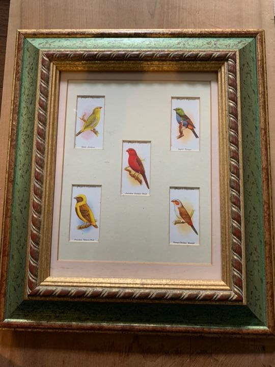 イギリスアンティーク　シガレットカード額装