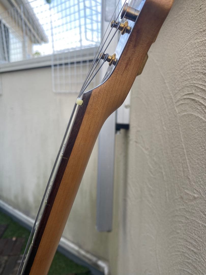 Anboy AN-25(アンボーイ/ストラトキャスター タイプ)