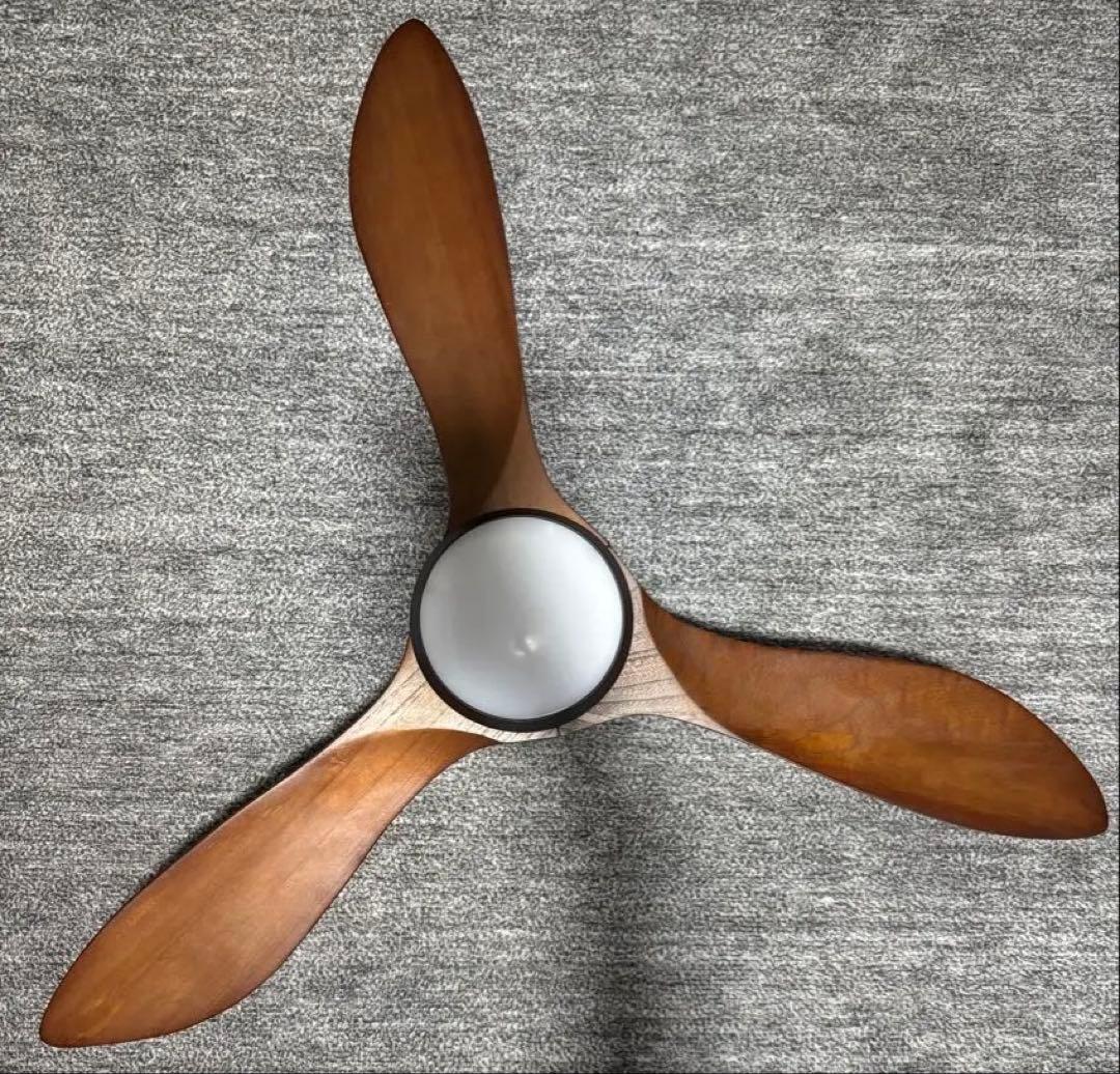 jabaliaシーリングファン ライト