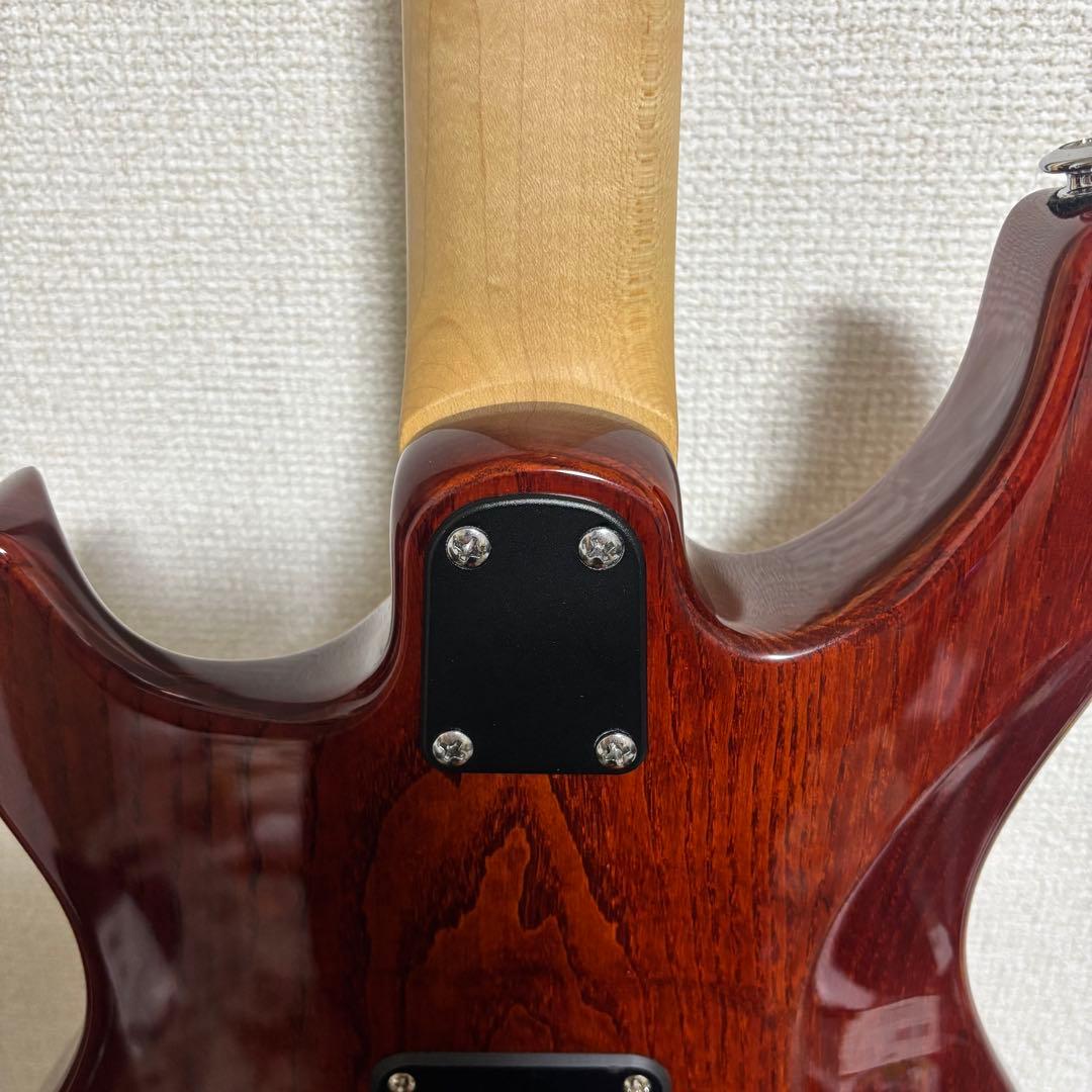 PRS SE Swamp Ash Special 3.5kg良個体2023年製