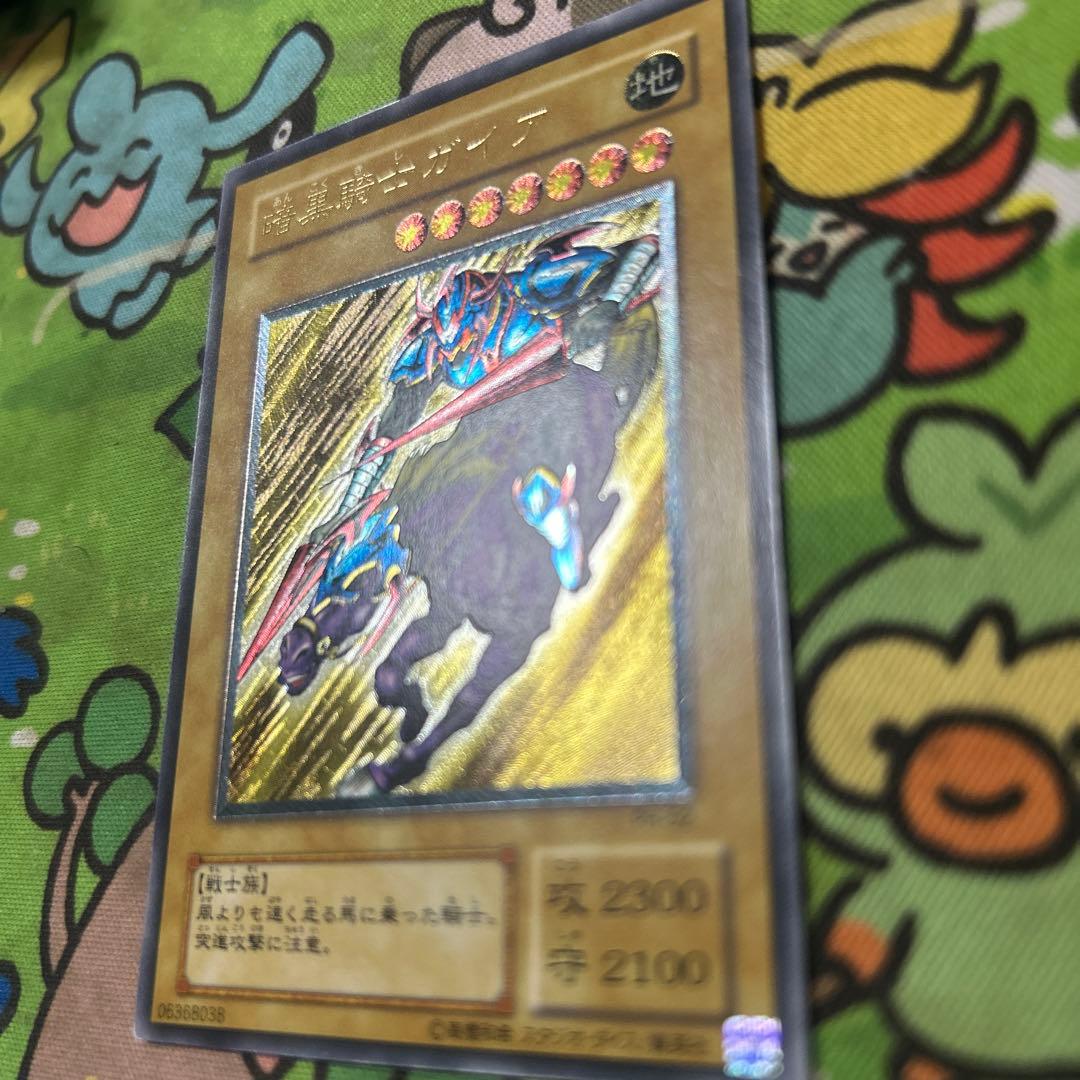 最安値出品　ガードナーはおまけ