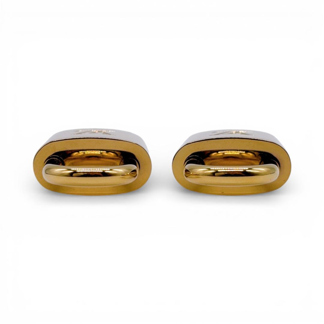 【美品✨】ルイヴィトン カデナ パドロック 保存袋付き No.677