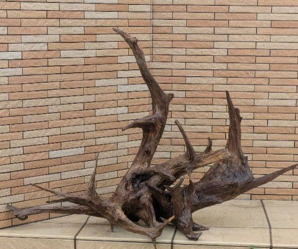 流木(630)　大型流木2点セット　アクアリウム　テラリウム