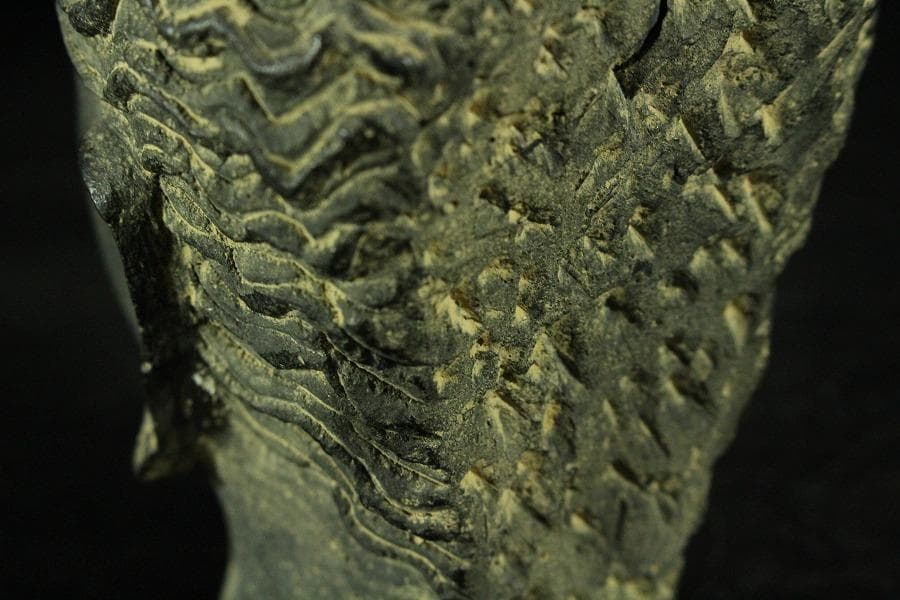 仏教美術 ガンダーラ仏頭(K-XA903)