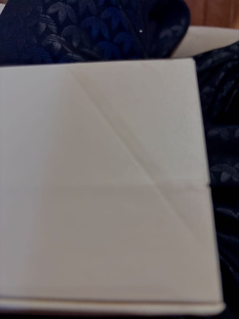 【新品】訳ありトランペットorホルンマウスピース収納ボックスケース（保管用）