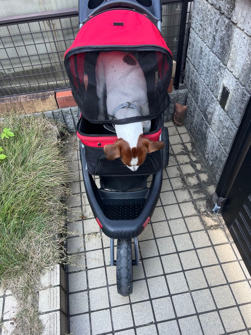大きめ　ペットバギー　犬　ペットカート　耐荷重25kg