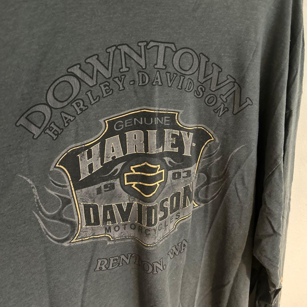 辺乃90s USA製ヴィンテージ　Harley-Davidson 袖フレイ