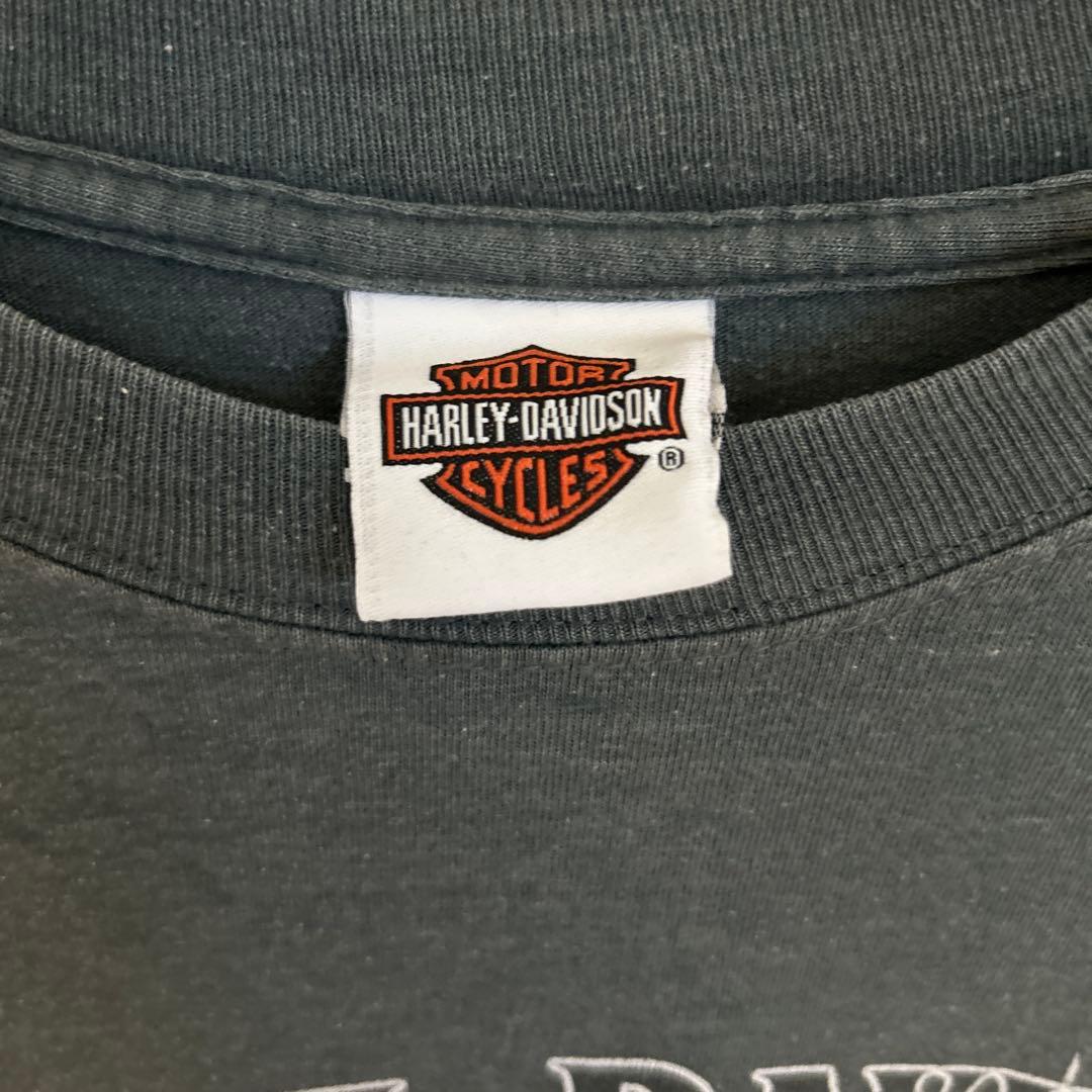 辺乃90s USA製ヴィンテージ　Harley-Davidson 袖フレイ