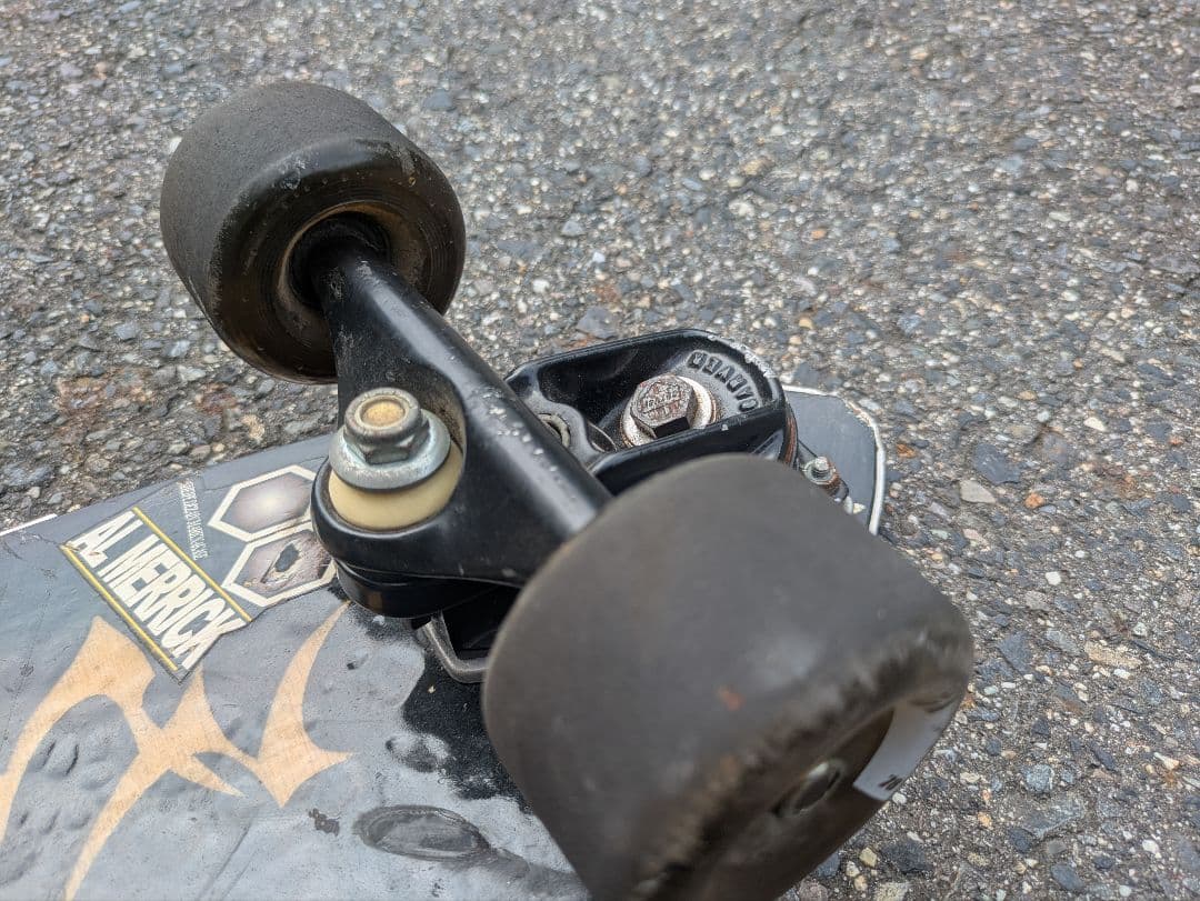 CARVER MARK NAKASA スケートボード sk8 サーフィン　レア