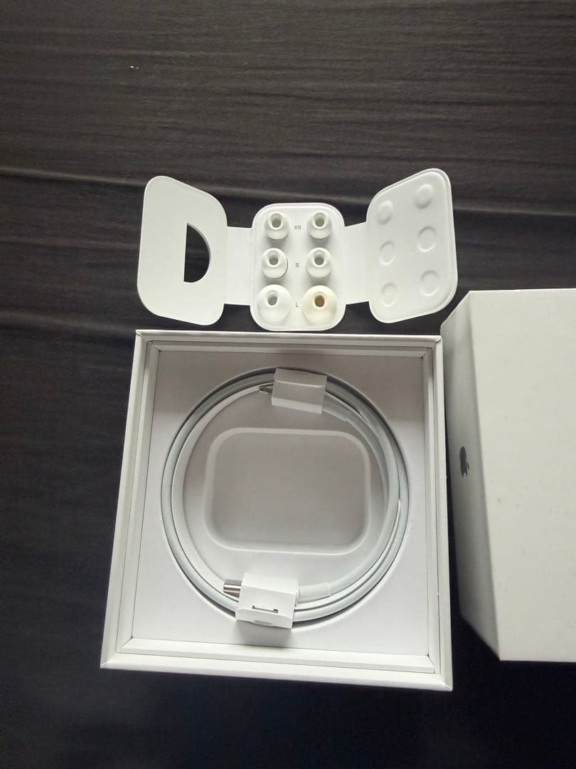 airpods pro 第2世代　Lightning apple イヤホン