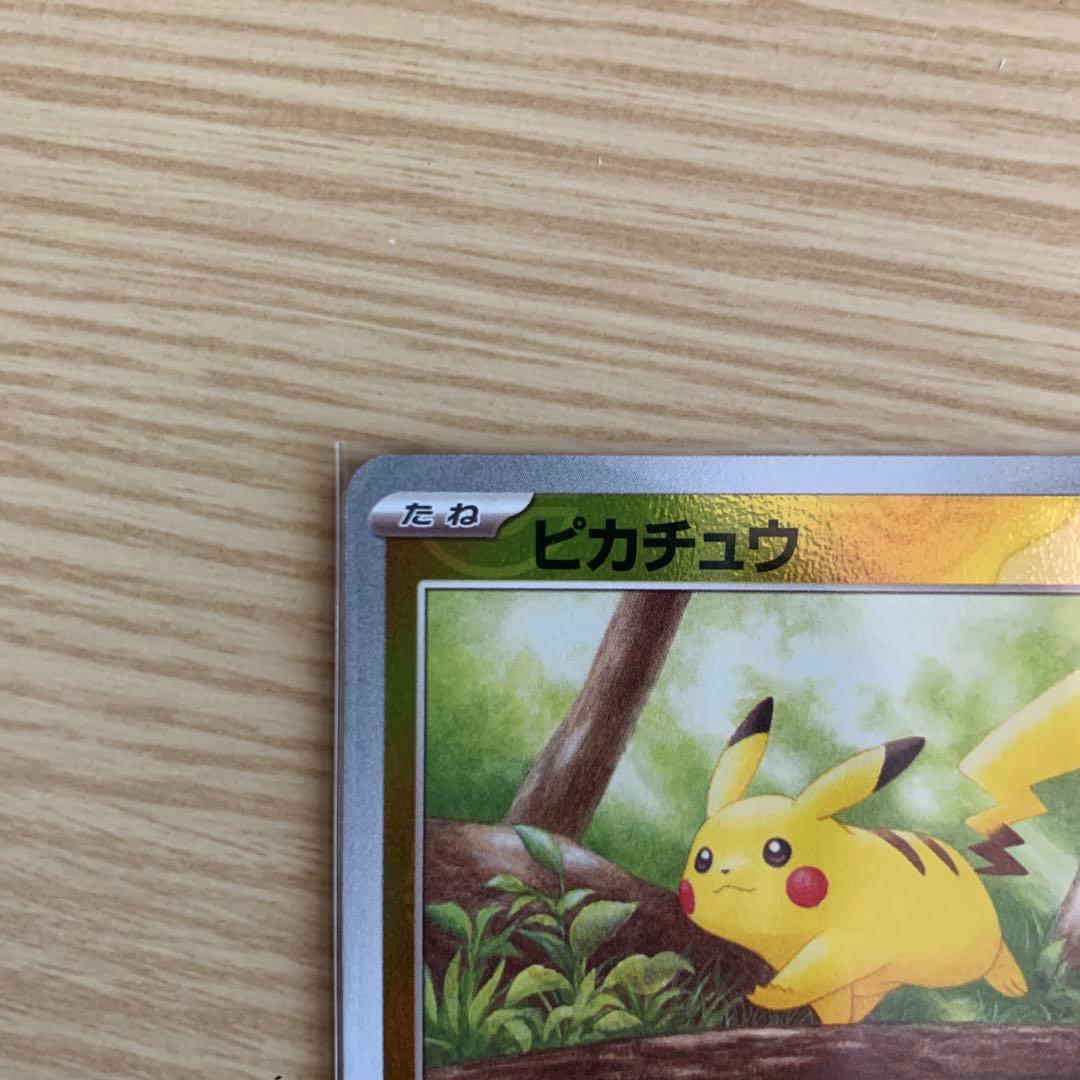 ピカチュウ マスターボールミラー