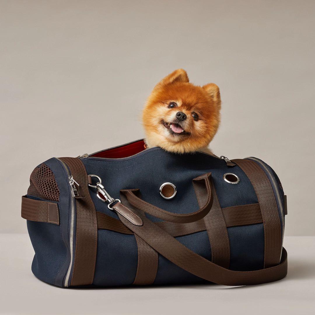 新品未使用　HERMES エルメス　犬用キャリーバッグ　ネイビー　ブラウン
