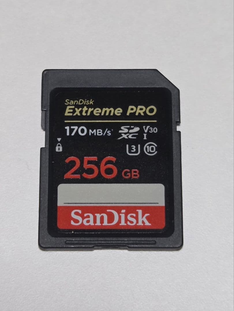 OLYMPUS PEN E-P7 デジタルカメラ ケース&SDカード256GB付