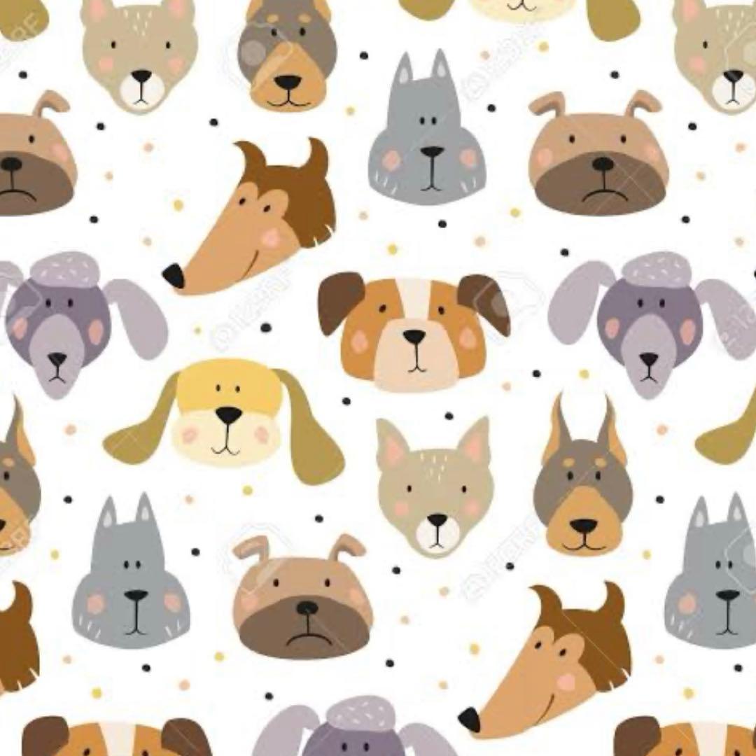 樹里(o^^o)♪♪♪