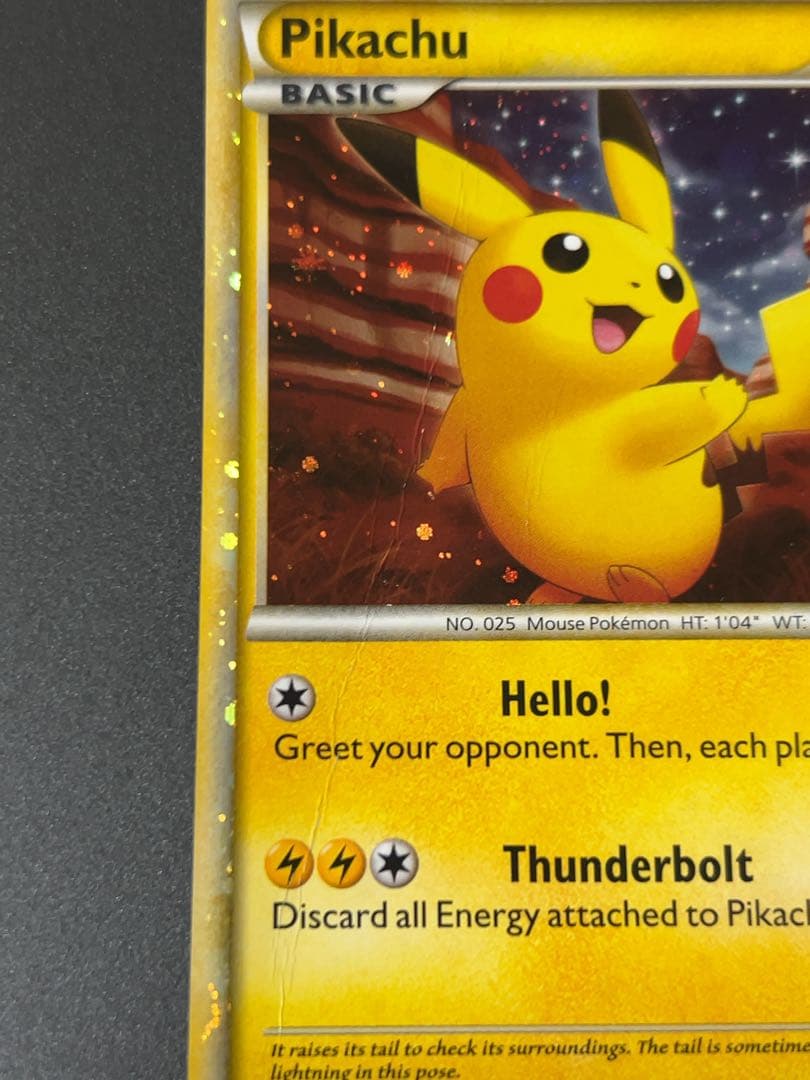 ピカチュウ ワールド アメリカ PW