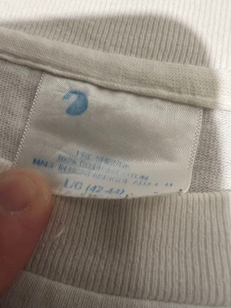 Dinosaur Jr. Tシャツ　ヘインズ USA製