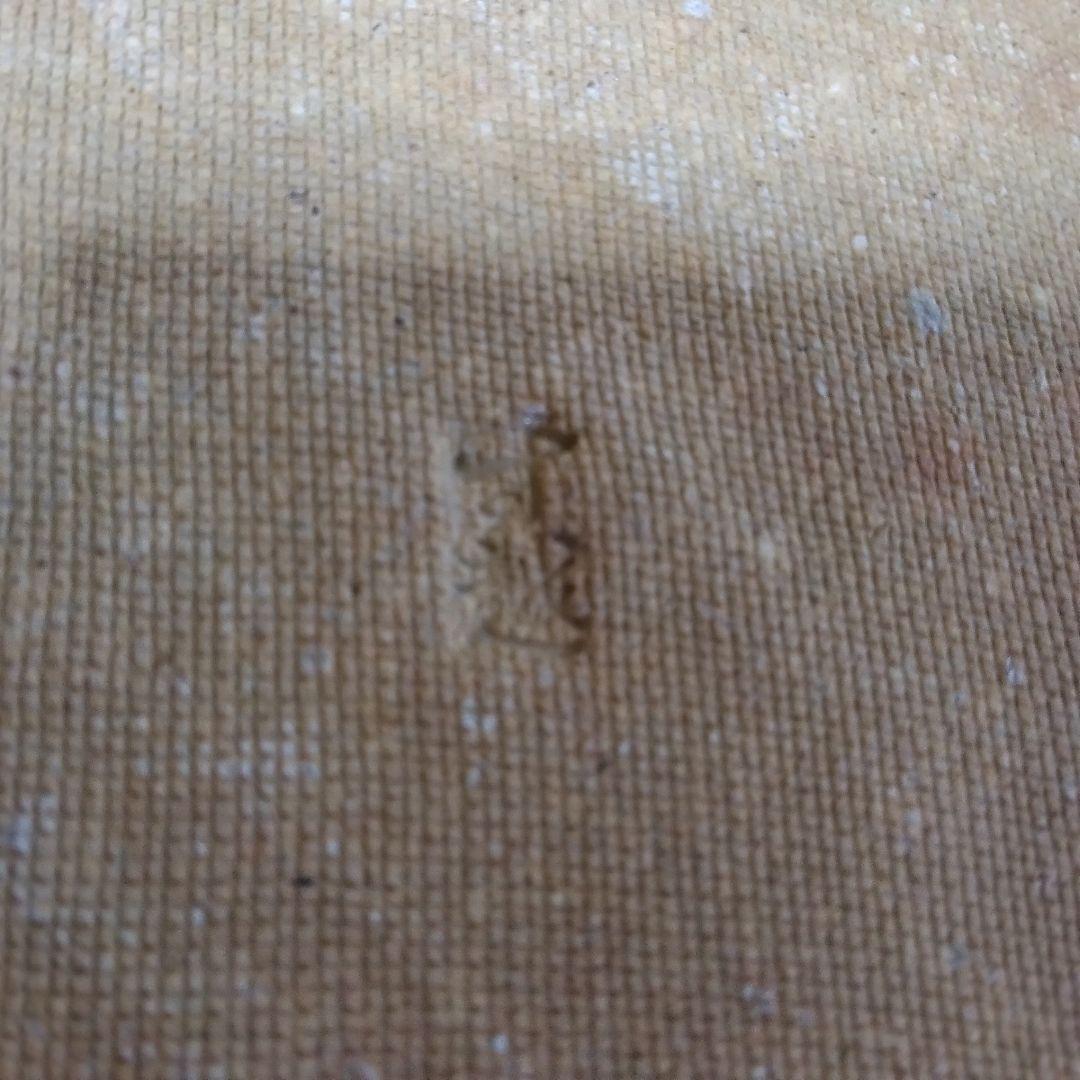 ☆神山清子作☆寸越窯☆しがらき焼☆中皿