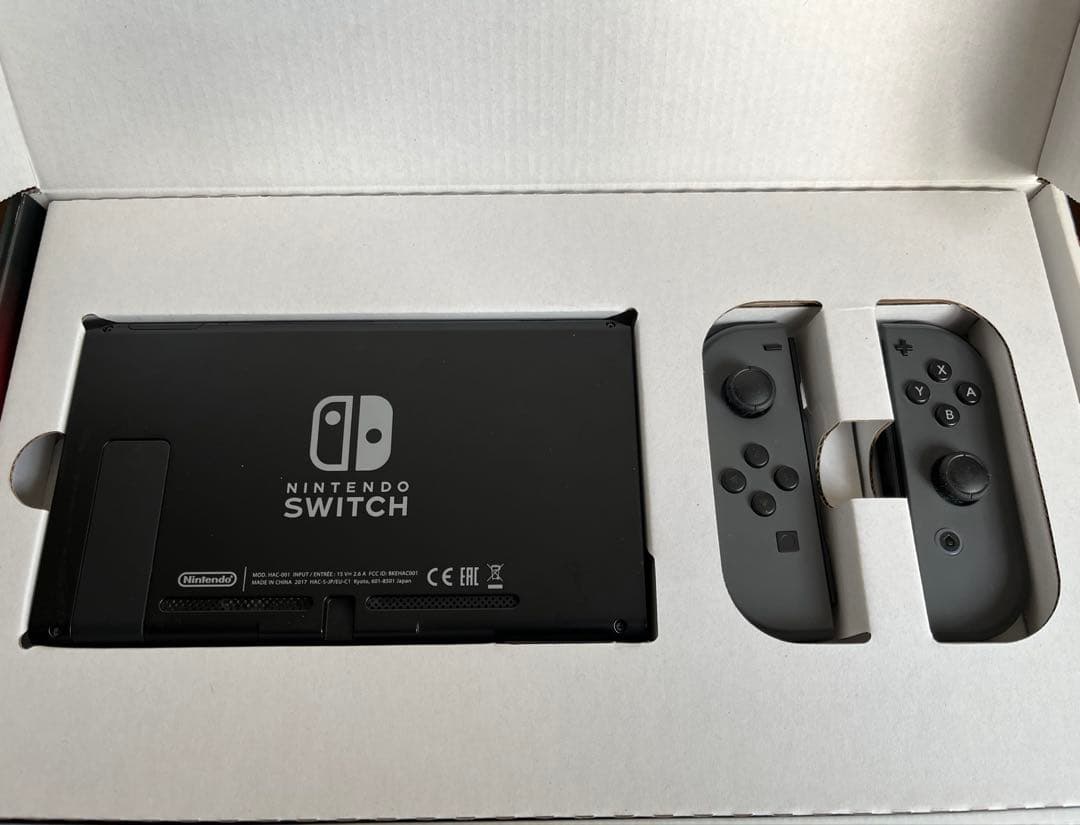 Nintendo Switch 本体 グレー➕Joy-Conネオンブルー➕ケース